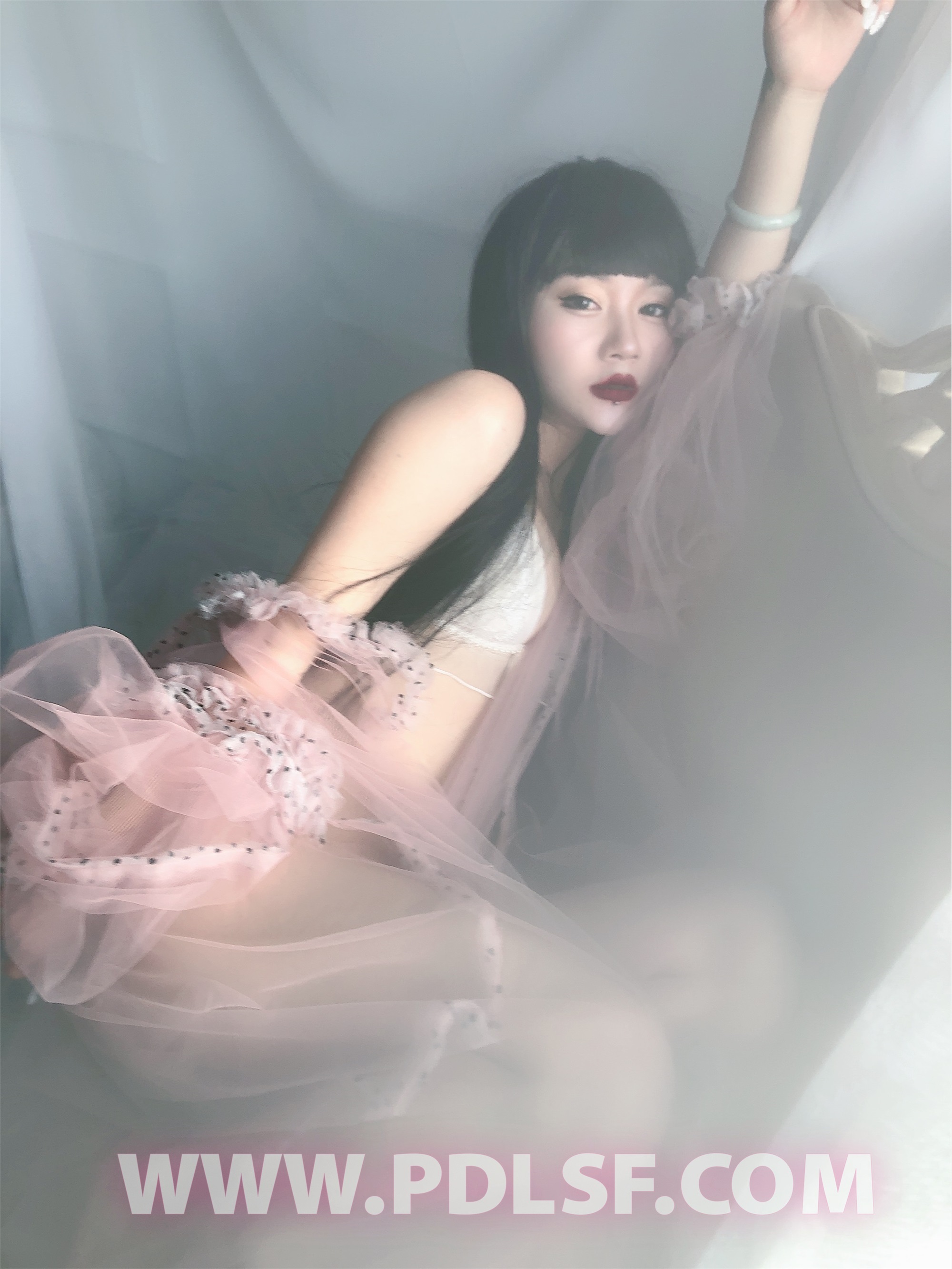 PDL潘多拉 2020.02.03 专辑No.275